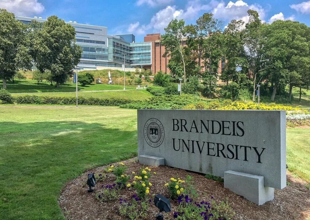 #86. Brandeis University